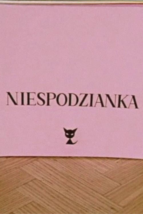 Niespodzianka