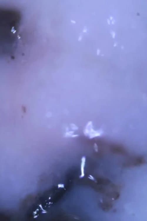 myxoInVitro00