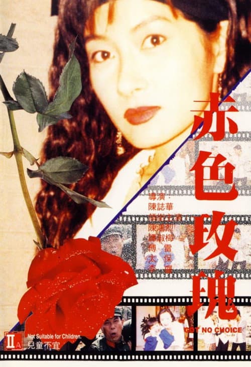 赤色玫瑰