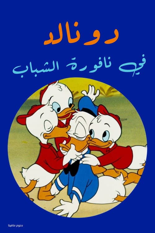 دونالد في نافورة الشباب