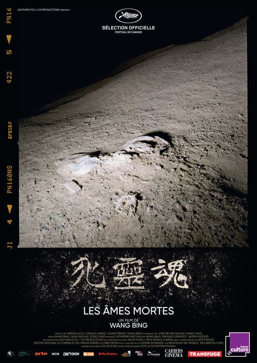 Die Seelen der Toten - Mingshui