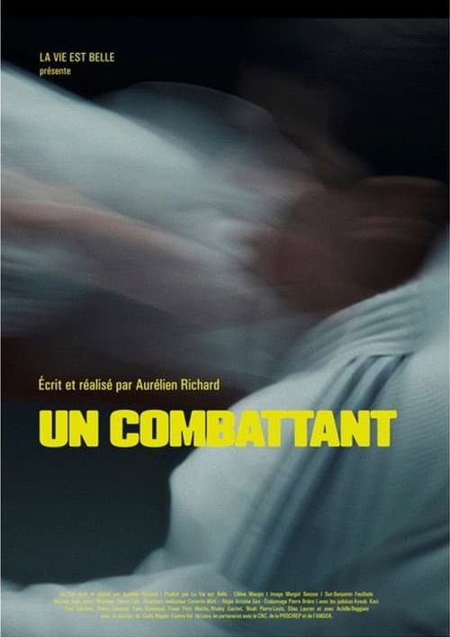 Un combattant