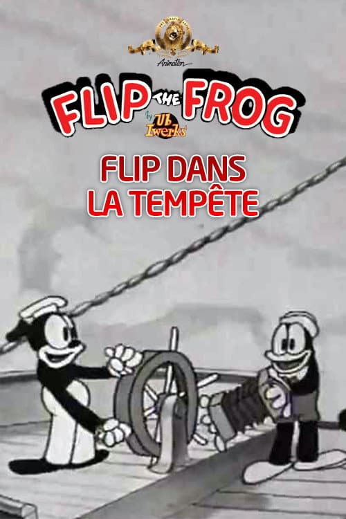 Flip dans la Tempête