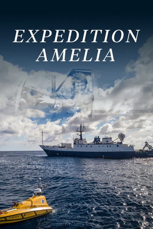Amelia Earhart - Suche nach einer Legende