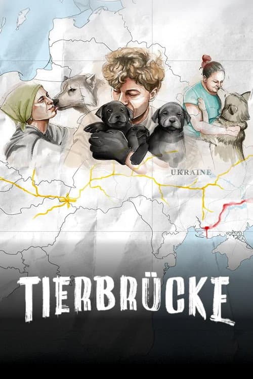 Die Tierbrücke