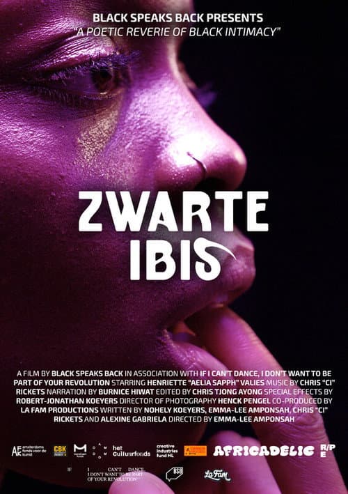Zwarte Ibis