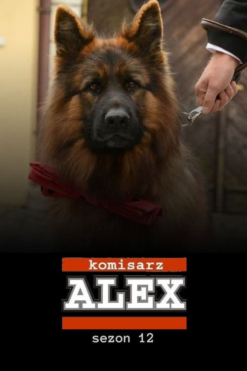 Season 12