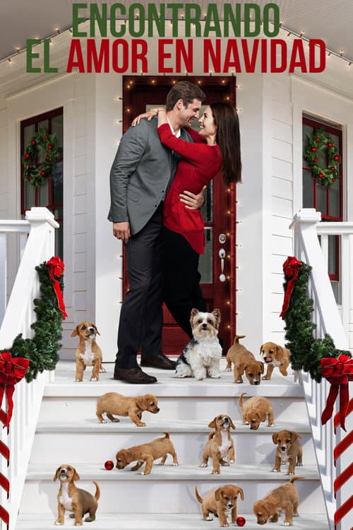 Encontrando el amor en Navidad