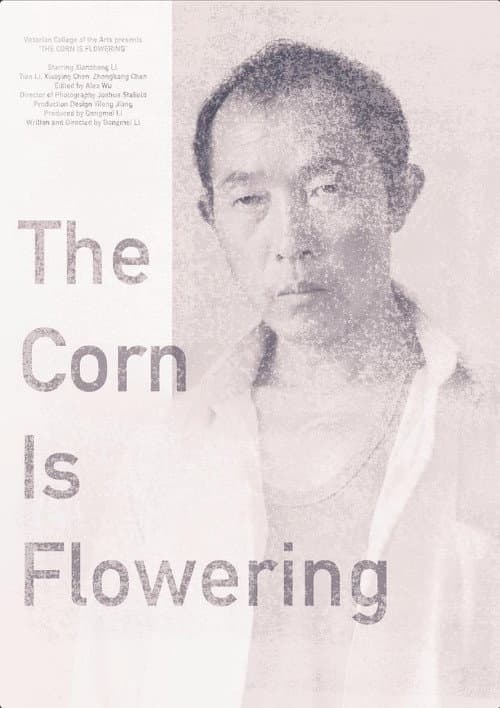 阳光照在草上