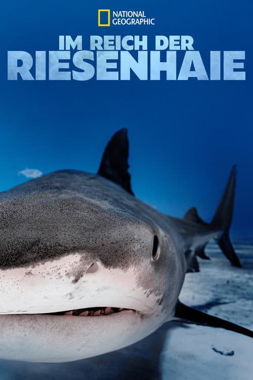 Im Reich der Riesenhaie