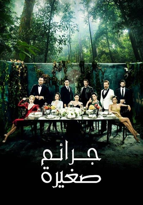 جرائم صغيرة