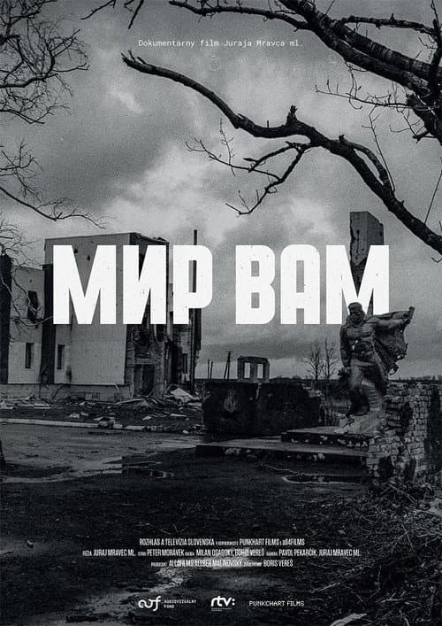 Mir Vam