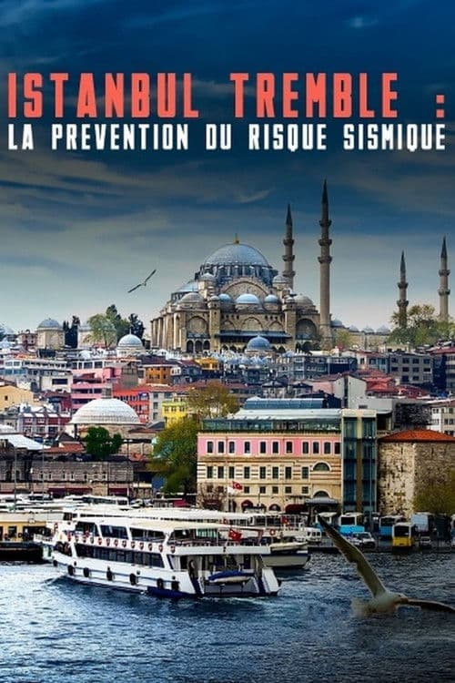 Istanbul bebt: Risiko und Frühwarnung