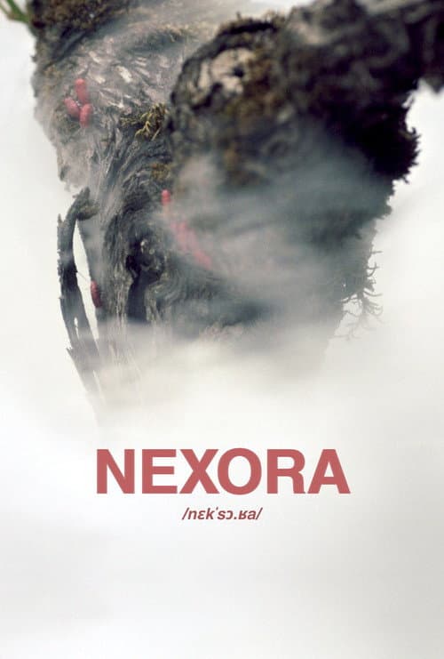 Nexora