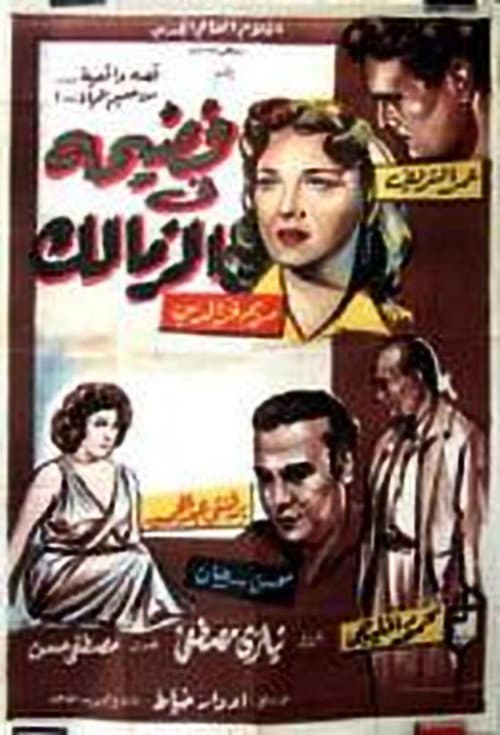 فضيحة في الزمالك