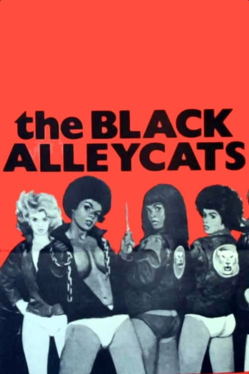 Black Cats - Schwarze Katzen, heiße Lust