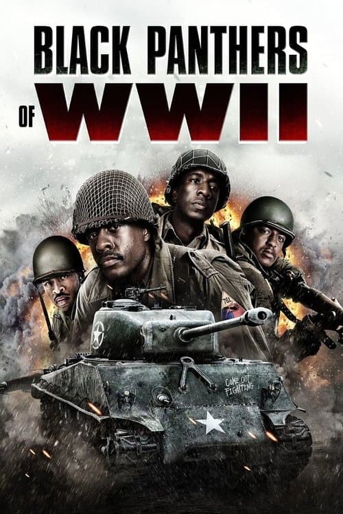 Black Panthers of WWII - Amerikas wahre Helden
