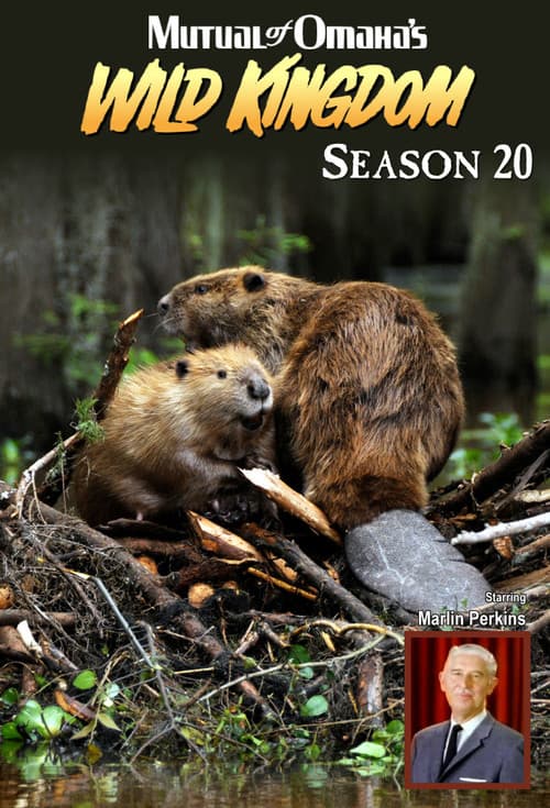Season 20