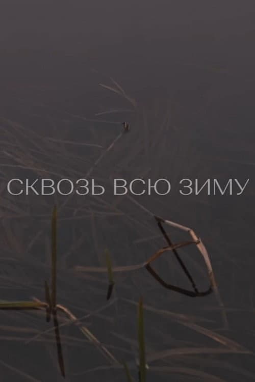 Сквозь всю зиму