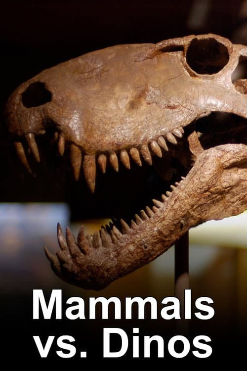 Auf der Spur der Dinosaurier