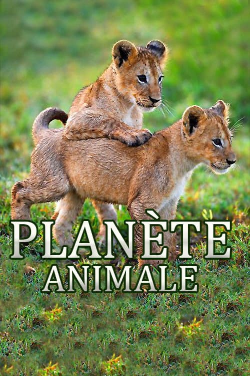 Planète Animale