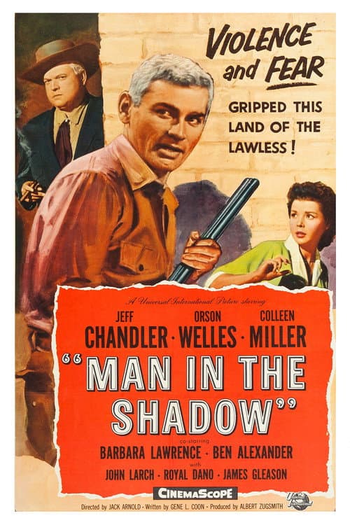 Man in the Shadow