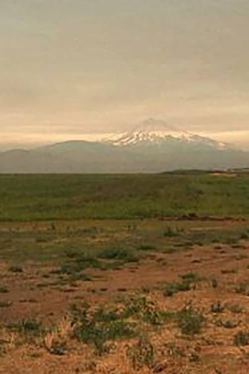 L. Cohen