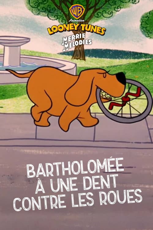 Bartolomé à une dent contre les roues
