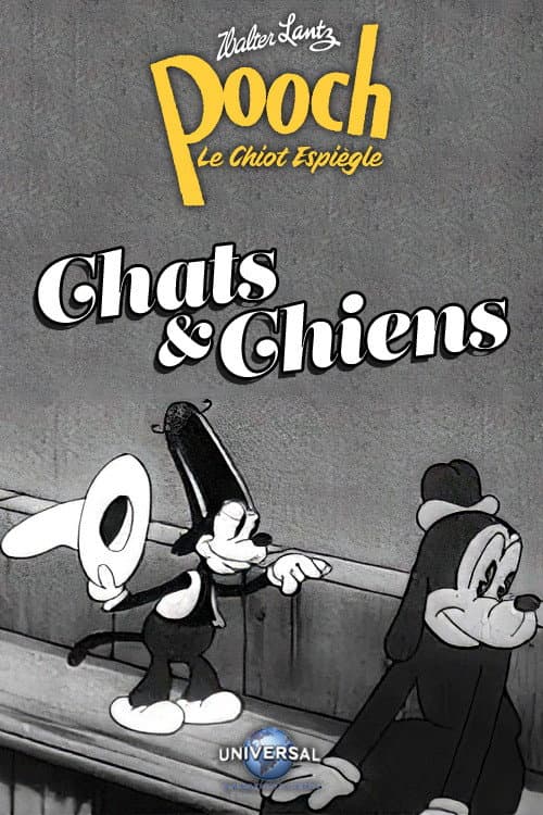 Chats et Chiens
