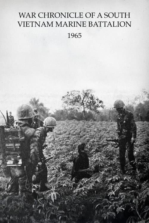 南ベトナム海兵大隊戦記