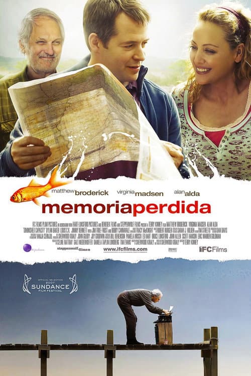 Memoria perdida