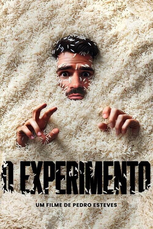 O Experimento