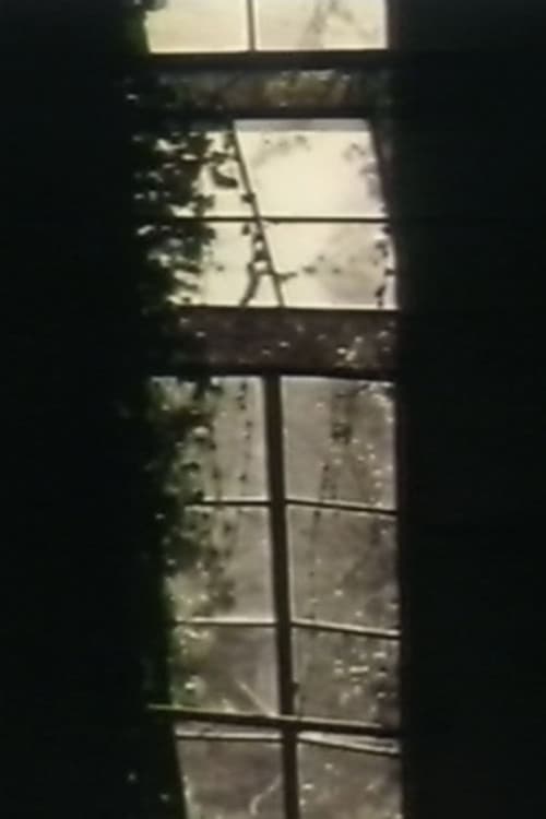 See Through The Shadow Of Darkness