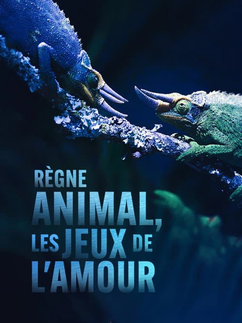 Règne animal, les jeux de l'amour