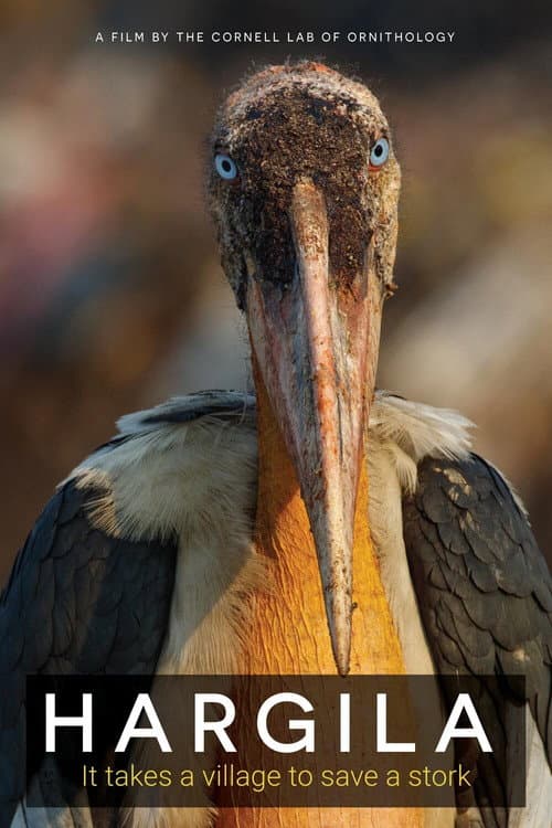 Hargila: Der Storch und die Frauen