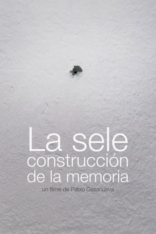 La sele construcción de la memoria