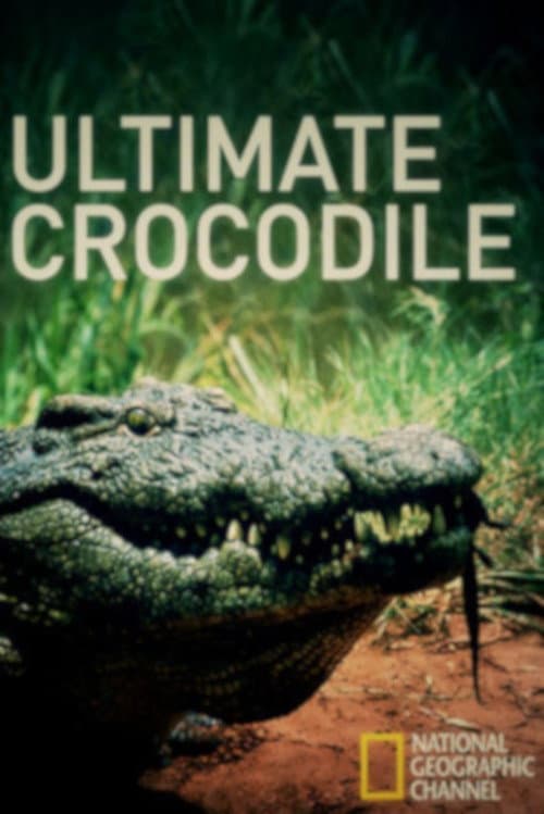 The Ultimate Crocodile