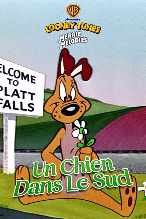 Un chien dans le Sud