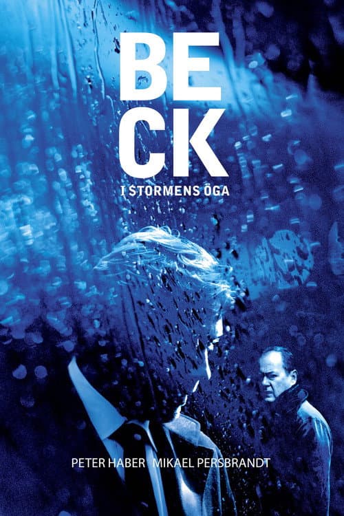 Kommissar Beck 25 - Schatten der Vergangenheit