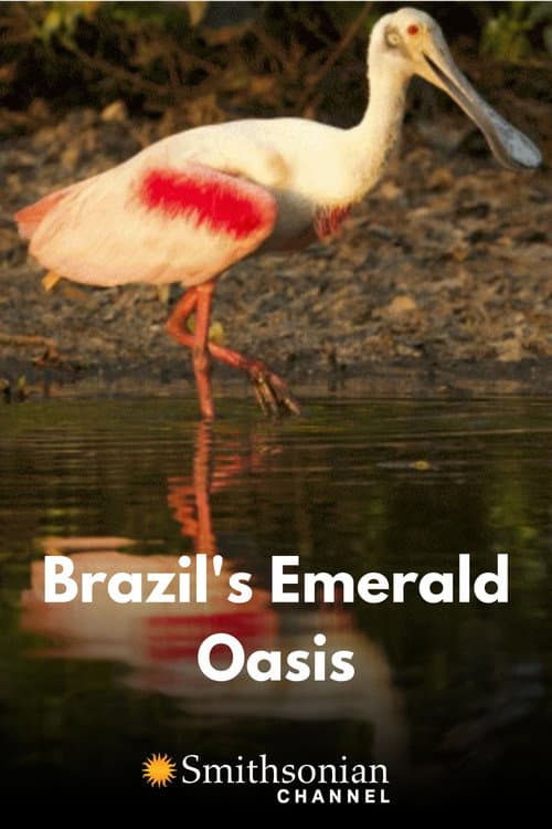 Wildes Pantanal