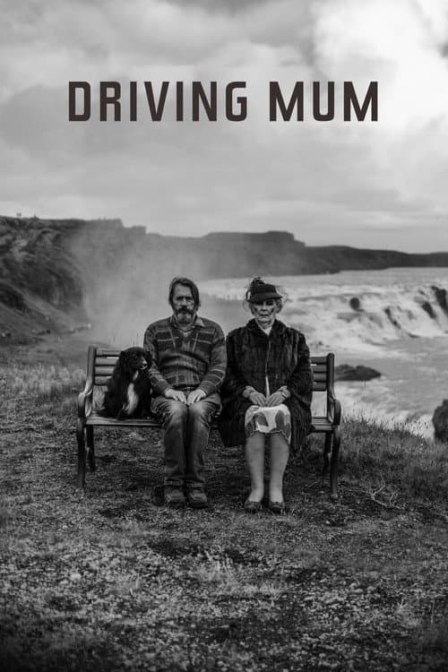 Driving Mom - Unterwegs mit Mama