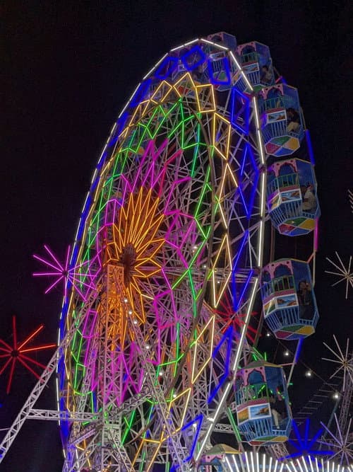 The Fair