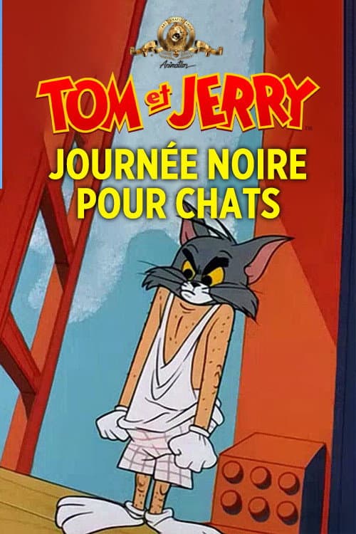 Journée noire pour chats