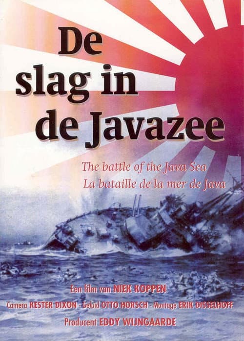 De Slag in de Javazee