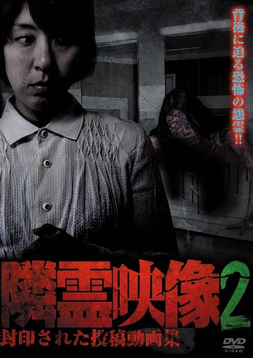 隣霊映像 封印された投稿動画集 Vol.2