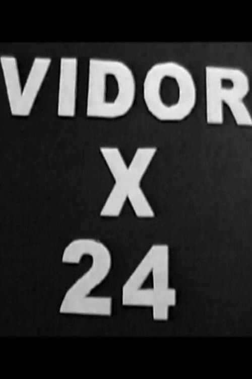Vidor x 24