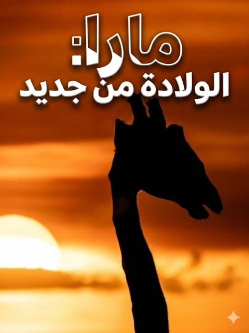 مارا: الولادة من جديد