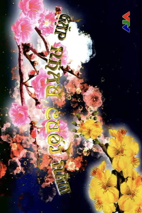 Tết Giáp Thân: Táo Quân 2004