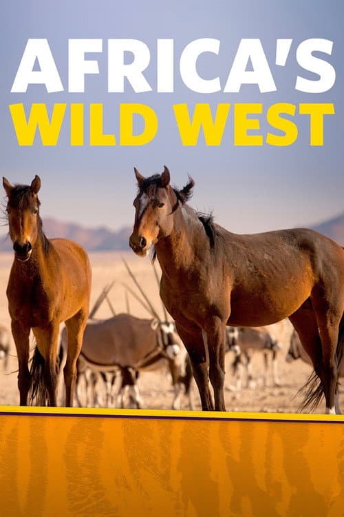 Afrikas Wilder Westen - Namibias Wüstenpferde