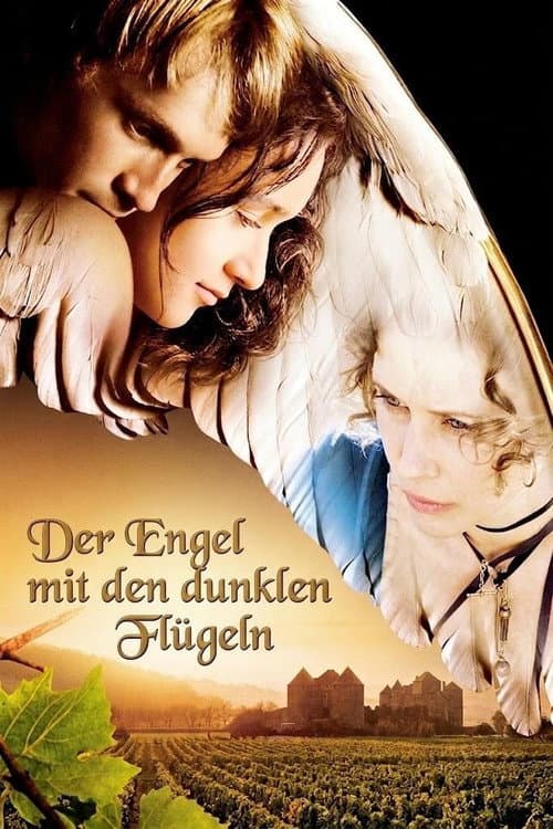 Der Engel mit den dunklen Flügeln